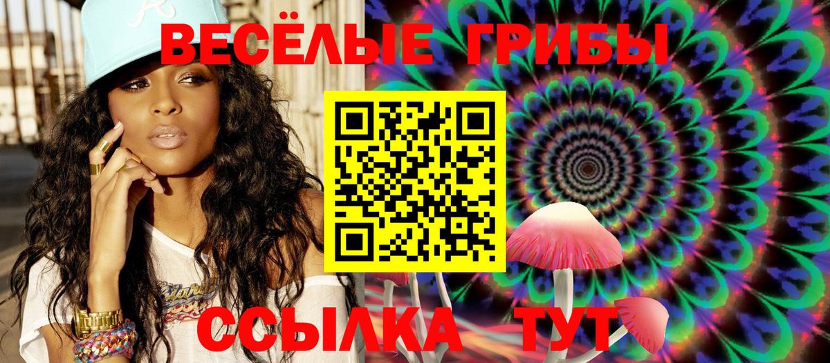 Псилоцибиновые грибы Psilocybine cubensis  даркнет сайт  Вход с VPN  Елец  Галлюциногенные грибы Cubensis 
